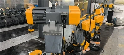 Mengapa Pelanggan Jerman Ini Memilih Hoist Rantai Listrik Eropa Kami